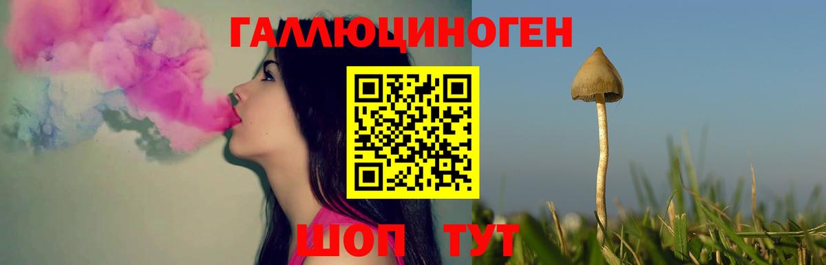 Галлюциногенные грибы Psilocybe Москва
